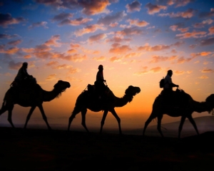 4 Days astronomy trip from Marrakech to Fez,Merzouga stargazing trip,Morocco astronomy trip 4 Days astronomy trip from Marrakech to Fez,Merzouga stargazing trip,Morocco astronomy trip