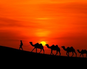 5-Day Astro Sahara Trip Marrakech 5-Day Astro Sahara Trip Marrakech